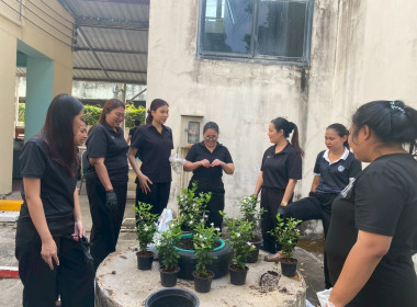 “ปลูกพืชผักสวนครัว” ภายใต้โครงการส่งเสริมองค์กรคุณธรรม ... พารามิเตอร์รูปภาพ 14